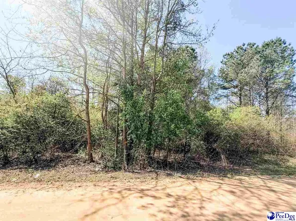 Judsons Mdw, Dillon, SC 29536