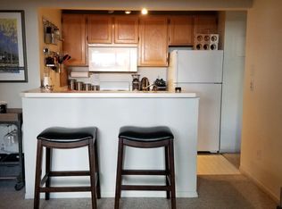 119 E Cooper Ave APT 5, Aspen, CO 81611