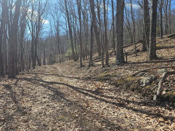 0 Harrison Holw, Franklin, WV 26807