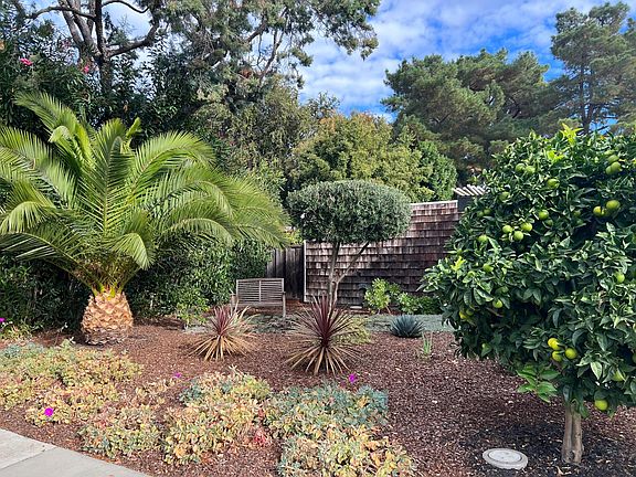Front yard