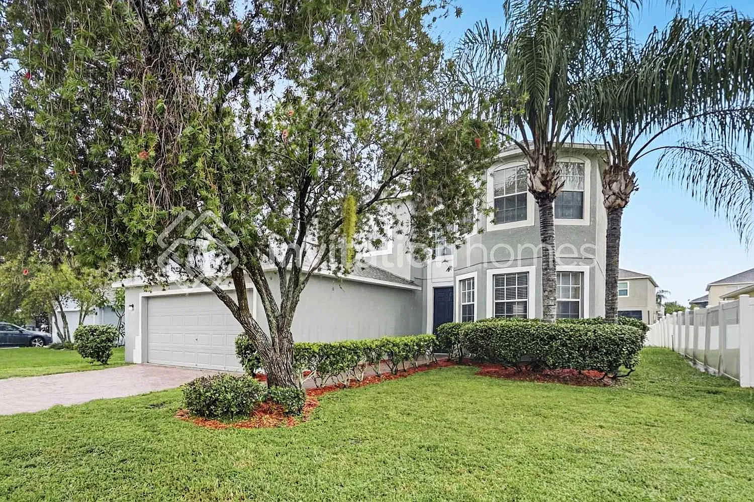 1353 Impatiens Ct Trinity, FL 34655 — Photo 1