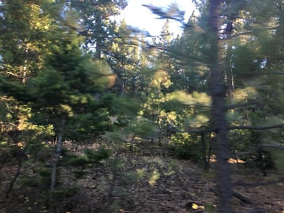5th image of Nhn Woods Creek Rd