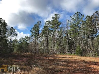 1 Parcel 1 Hudson Mill Cir, Hamilton, GA, 31811
