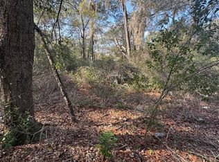 Locust Run Radl LOT 32, Ocala, FL 34472