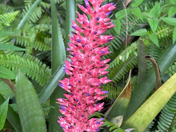 Living among nature's beauty! Lot's to explore.