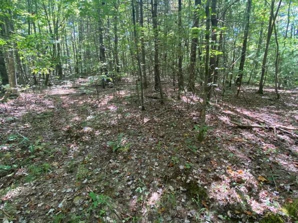 Station Camp Rd, Oneida, TN 37841