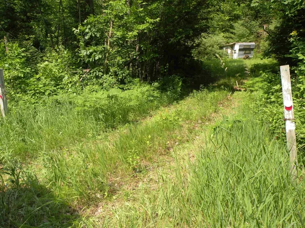 Adams Rd, Gladwin, MI 48624