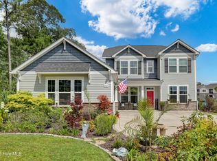 203 Violetear Rdg, Hampstead, NC 28443