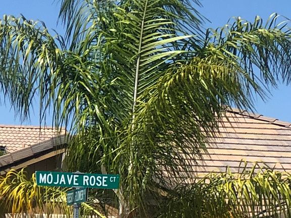 2nd image of 31543 Mojave Rose Ct