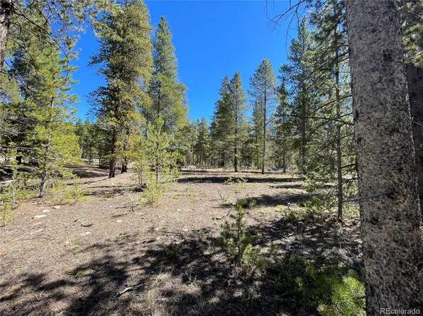 100 Virginia Avenue, Leadville, CO 80461