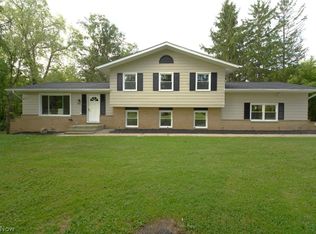 3954 Remsen Rd, Medina, OH 44256
