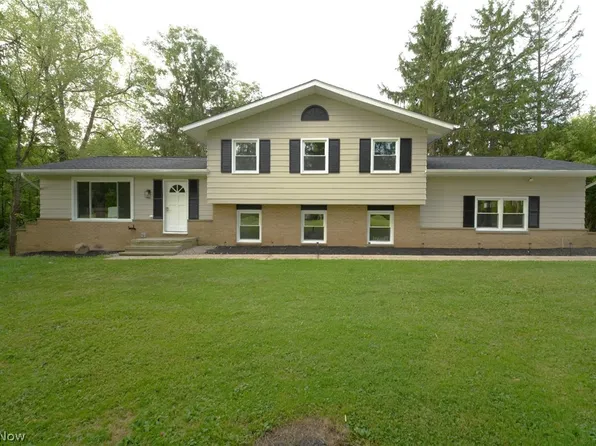 3954 Remsen Rd, Medina, OH 44256