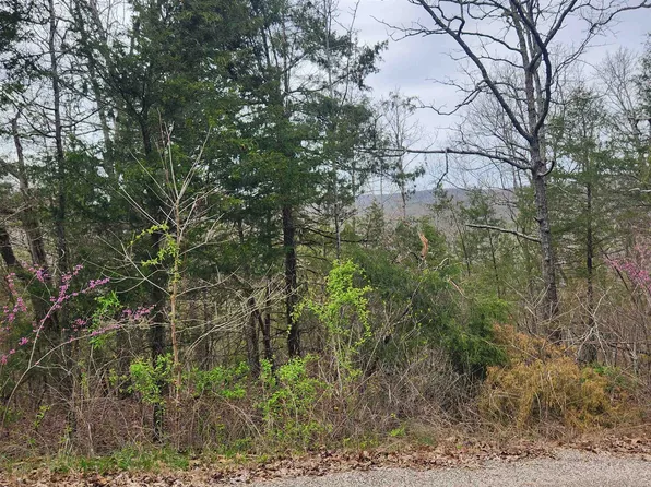 L-8-B Choctaw Dr #11, Cherokee Village, AR 72529