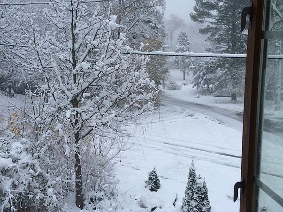 View from front deck to lake