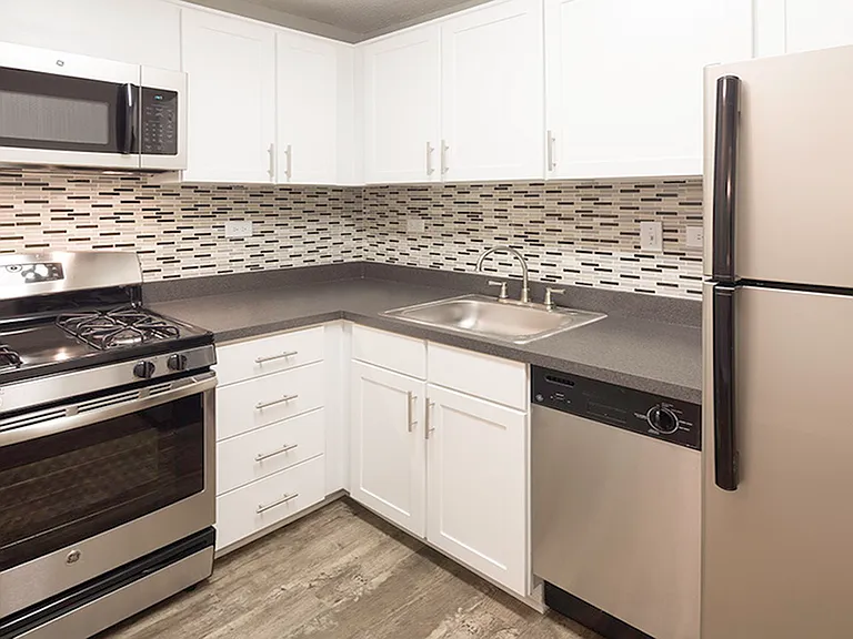 Designer inspired backsplash and stainless steel appliances in select homes