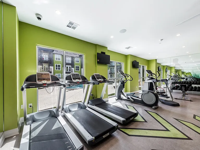 Cardio machines in front of large windows with cable TV