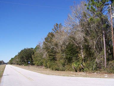 1st image of Lot 6 NW County Road 336