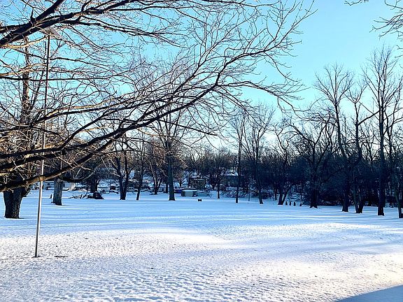 backyard winter