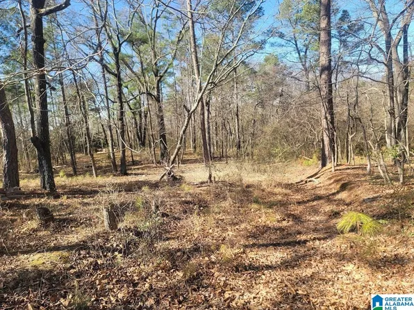 0 W Littlebrandt Dr #0, Anniston, AL 36205