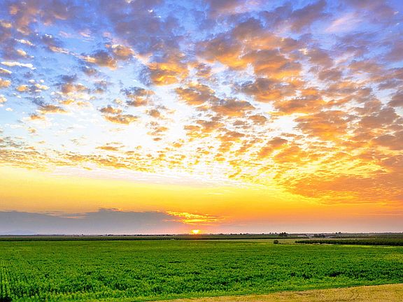 2nd image of Escalon Bellota Rd