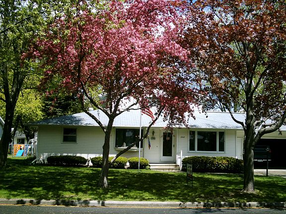 Front Yard Crab Apple Tree