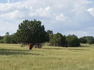 145 W Mail Trail Rd, Young, AZ 85554