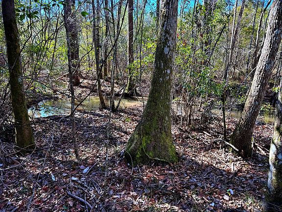 5th image of 1837 Columbus Rd