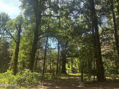 LOT 4 Saggus Rd, Washington, GA, 30673