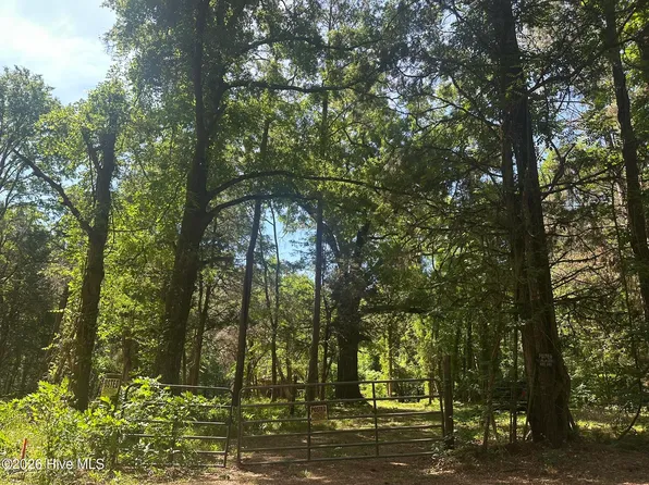 LOT 4 Saggus Rd, Washington, GA 30673