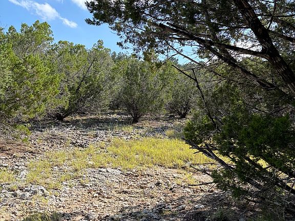 3rd image of 20 N Rimrock Road LOT 2