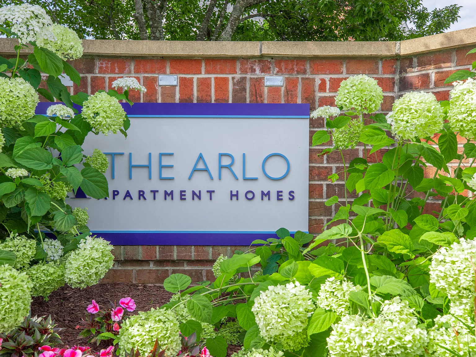 The Arlo — Photo 2