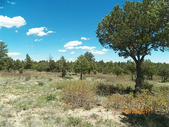 5th image of 21270 County Road 46 #0