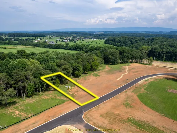 16922 Sophie Dr Lot 16, Greenback, TN 37742