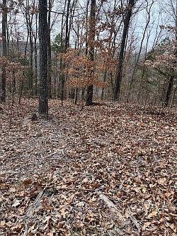 2nd image of Pickering Dr #27