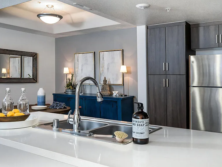 Fully Equipped Kitchen with Stainless Steel Appliances Dishwasher and Garbage Disposal