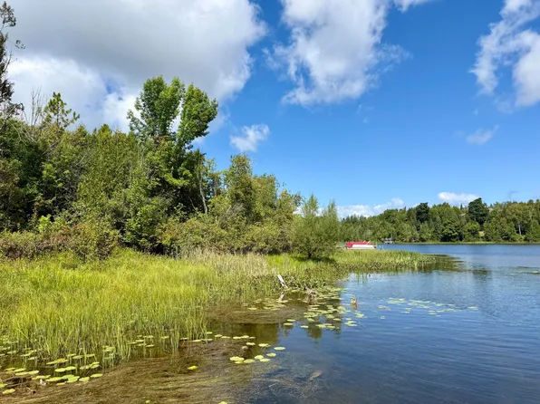 3181 Canton Rd, Cheboygan, MI 49721