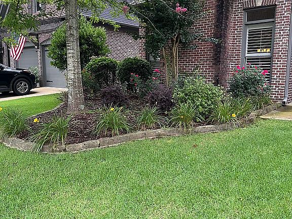Front yard