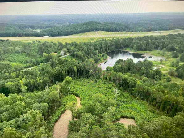 0 Homestead Rd, Eldridge, AL 35554