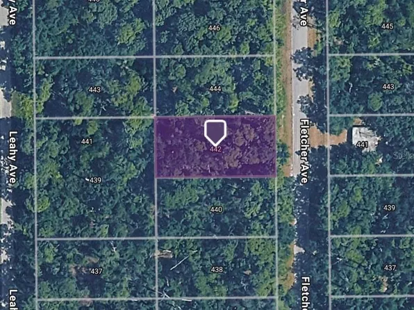 442 Fletcher Ave Lot 13, Lake Placid, FL 33852