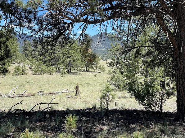 333 JASPER Way LOT 322, Hartsel, CO 80449