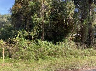 315 S Thompson Ave, Lecanto, FL 34461
