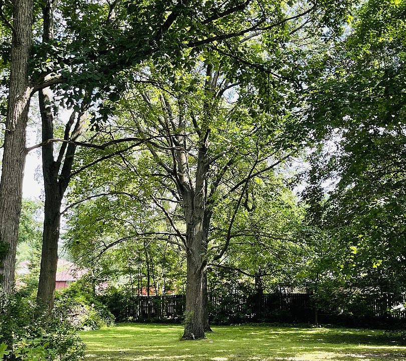 2nd image of 3 S Maplewood Ave
