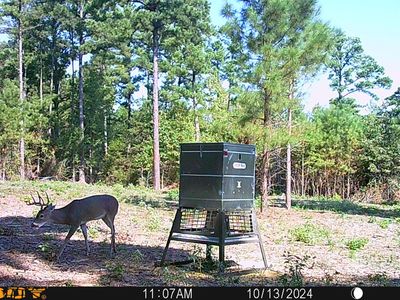 Private Road 8079, Ben Wheeler, TX, 75754