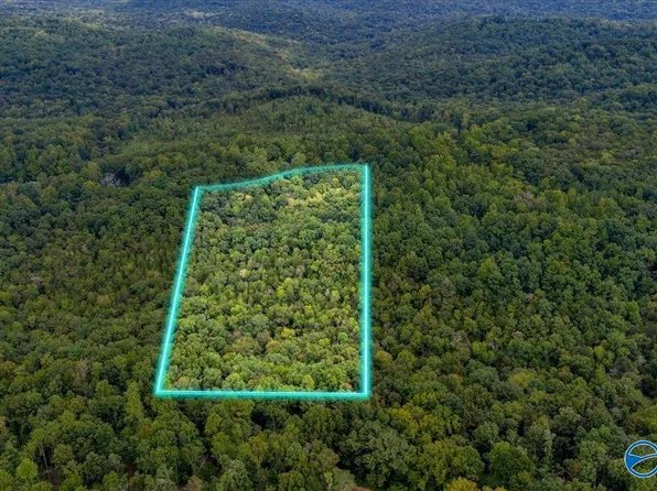 Fish Trap Rd, Grant, AL 35747