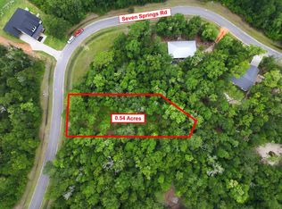 229 Seven Springs Rd, Wewahitchka, FL 32465