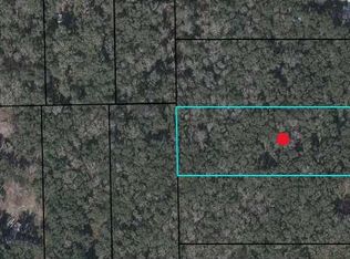 575th St, Old Town, FL 32680