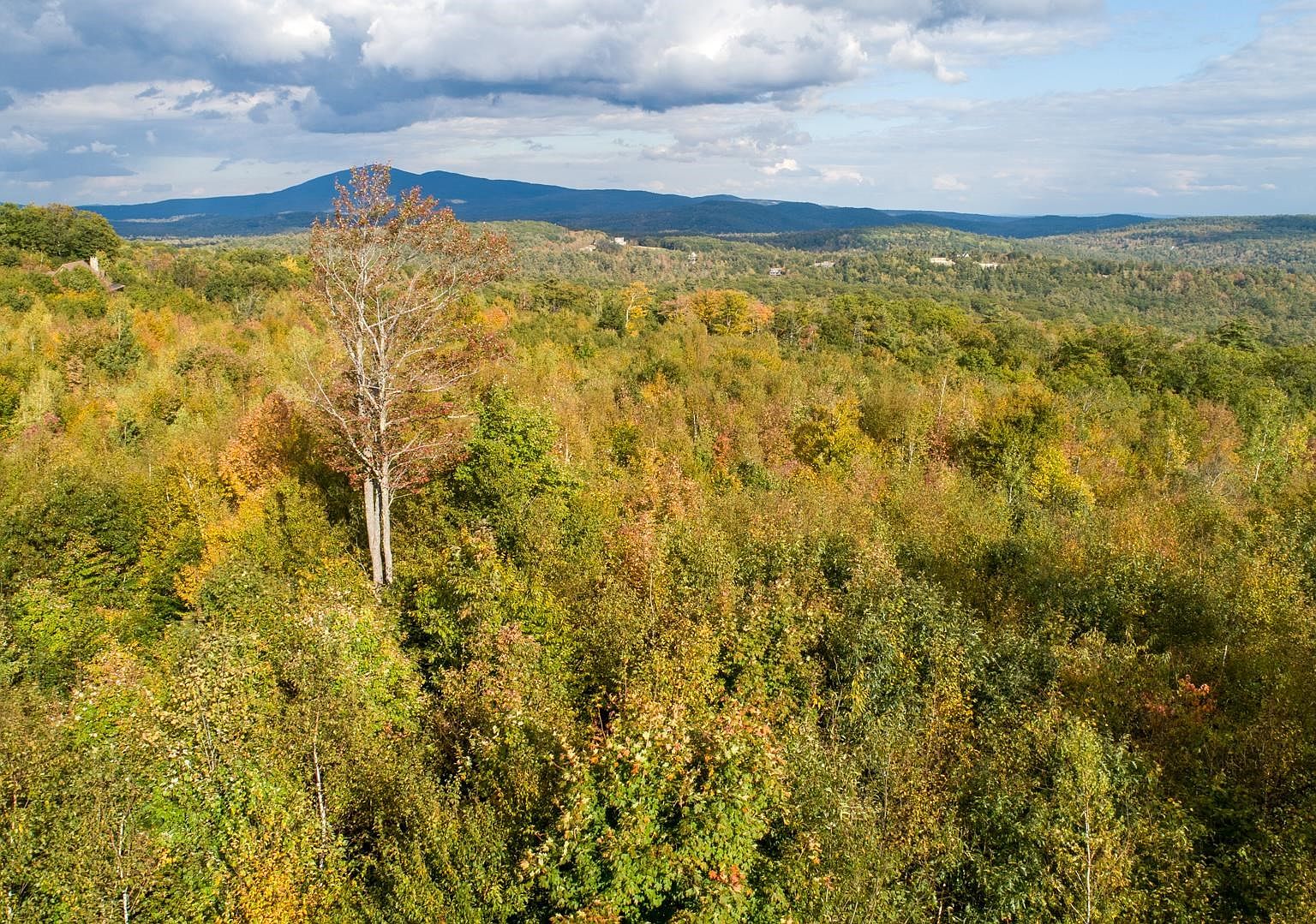 0 Meadow Road UNIT 40, Newbury, NH 03255 MLS 4974157 Zillow