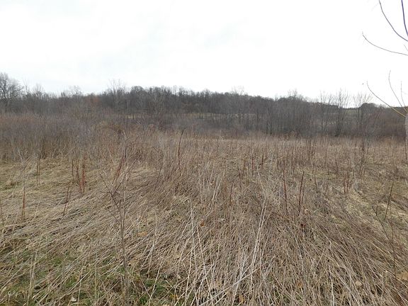 2nd image of Cox Rd