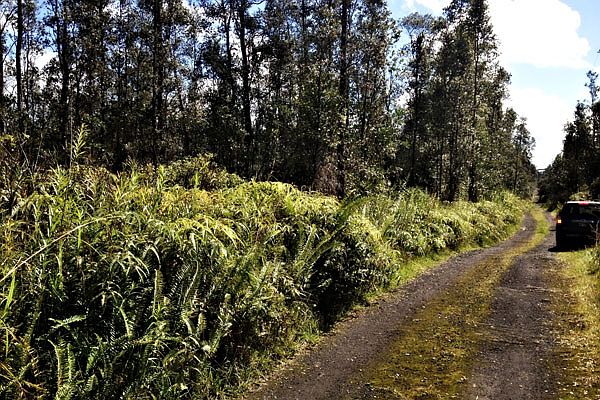 1st image of Road 5 Lot 4002