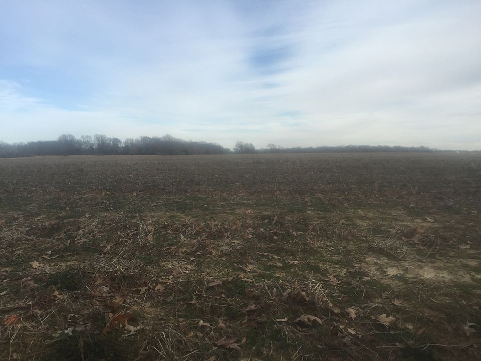 2nd image of 344 Charles Alter Rd